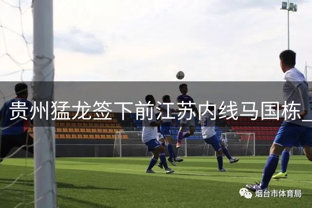 贵州猛龙签下前江苏内线马国栋 身高2.12米中锋补强阵容